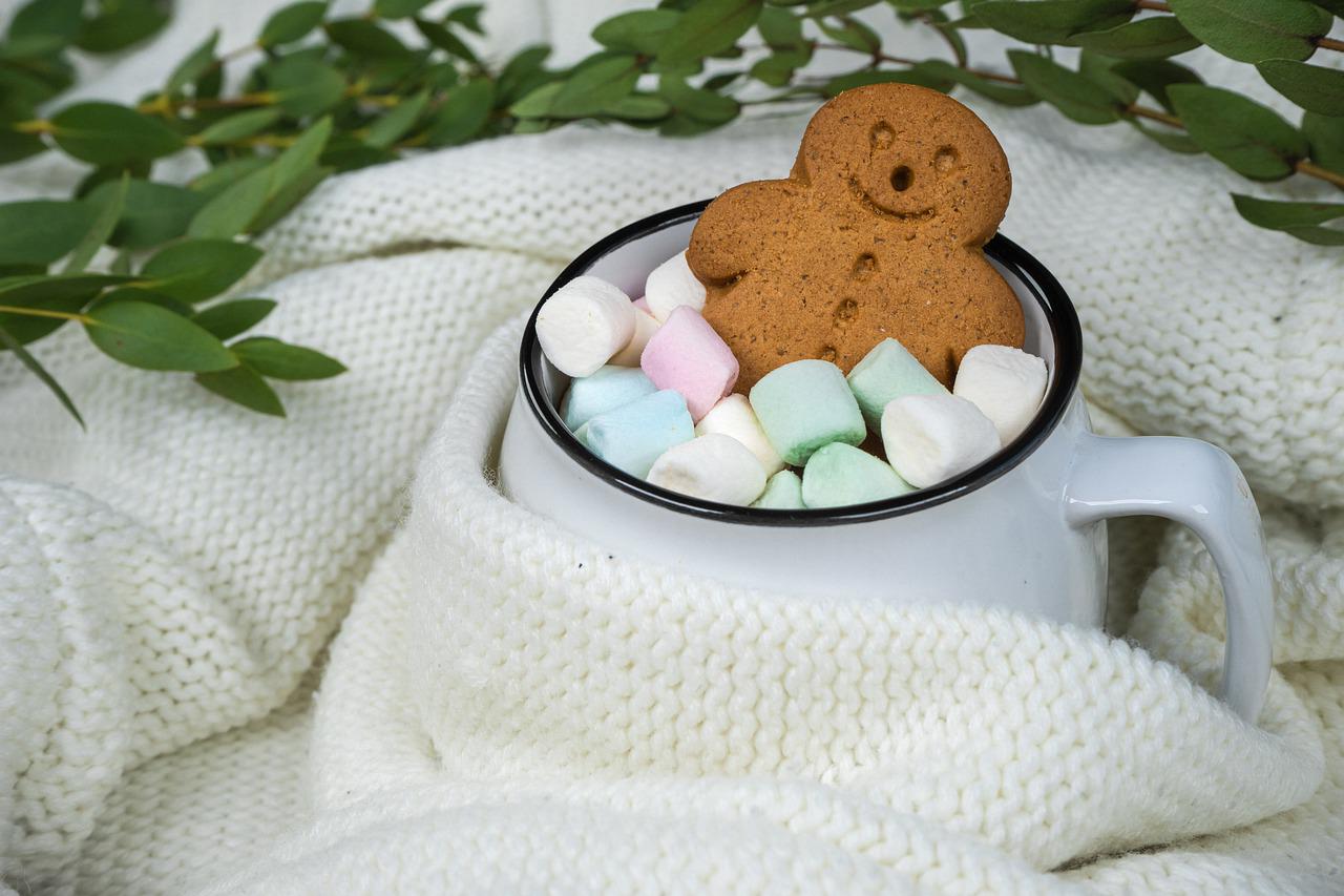 Cookies Christmas Cookie  - Ylanite / Pixabay