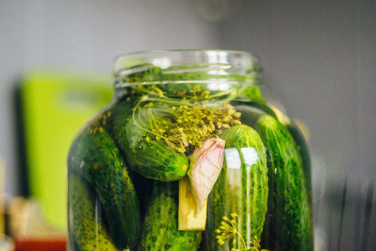 Pickled Cucumbers Silage Cucumber  - kasjanf / Pixabay