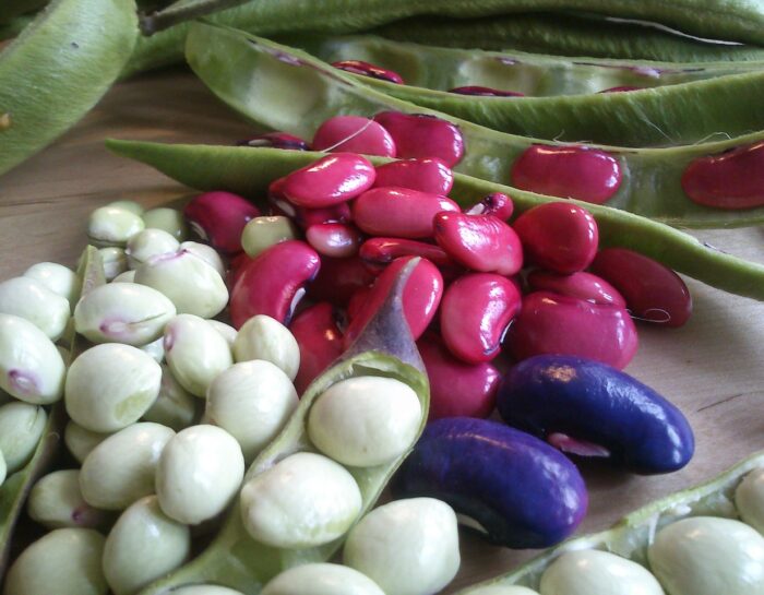Mediterranean Beans
