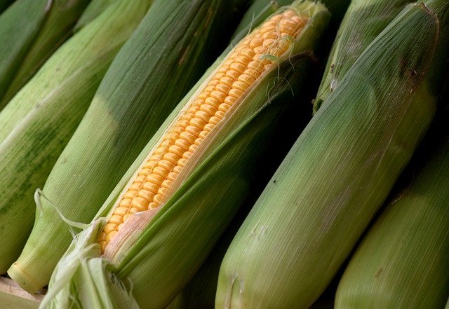 World's Best Creamed Corn