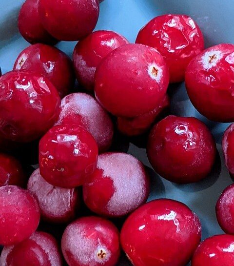 Quick Thanksgiving Cranberry Relish
