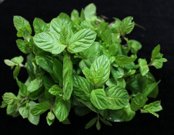5 Herbs to Grow in Your Kitchen Window