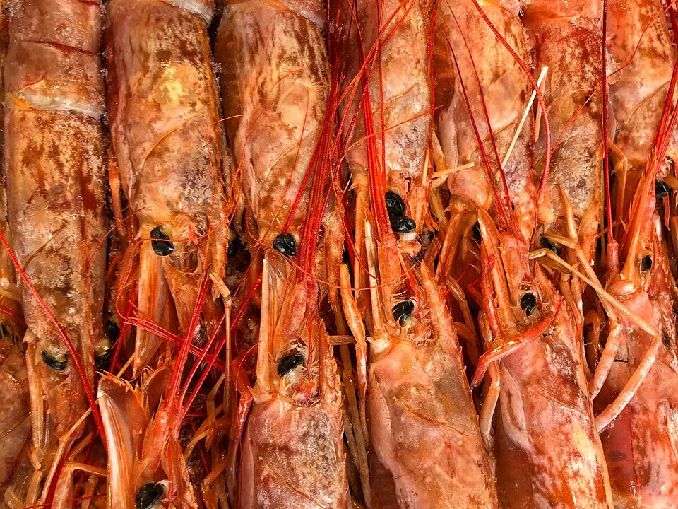 Trout and Shrimp Capellini with Beurre Blanc Sauce