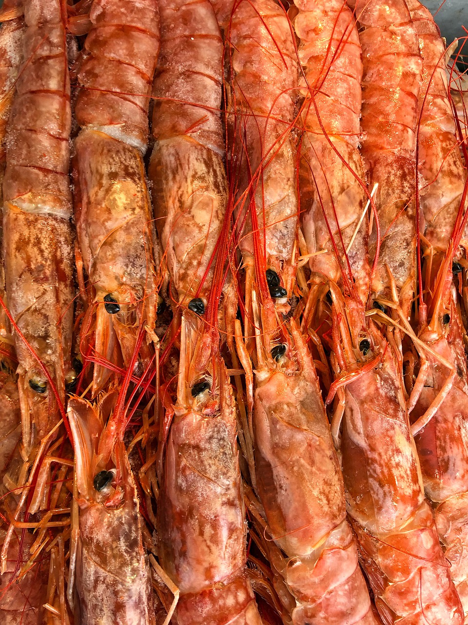 Seafood Shrimp Gourmet Restaurant  - covantnyc / Pixabay