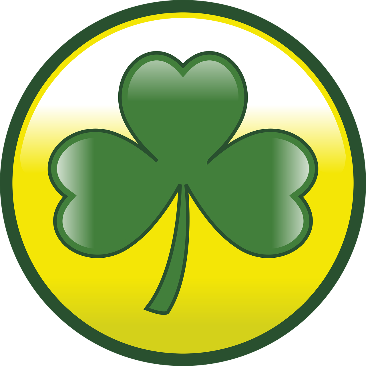 St Patricks Day Shamrock Clover  - REDQUASAR / Pixabay