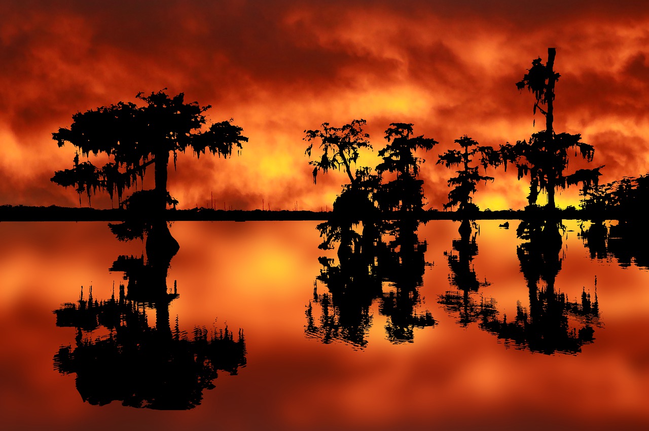 Sunset America Louisiana Bayou  - rauschenberger / Pixabay